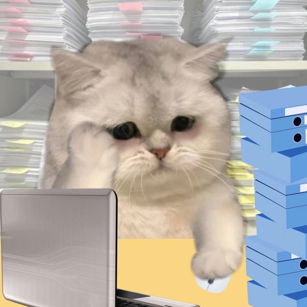 9to5 Coin: MEME Coin Where 'Corporate Cat' Turns Work into Play