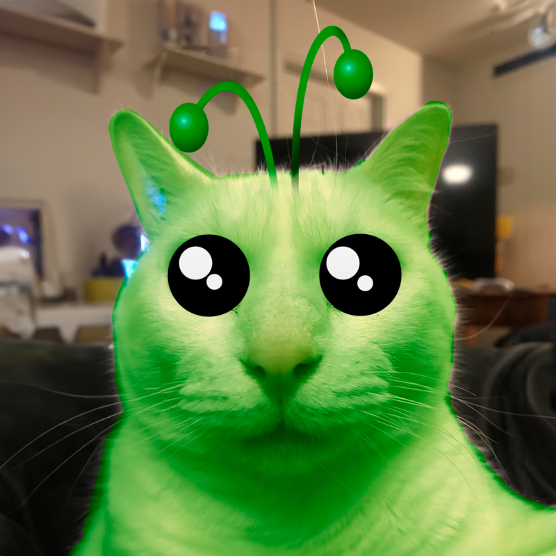 $ALIENCAT Coin: Join the MEME Coin Craze with a Cute Outer Space Cat!