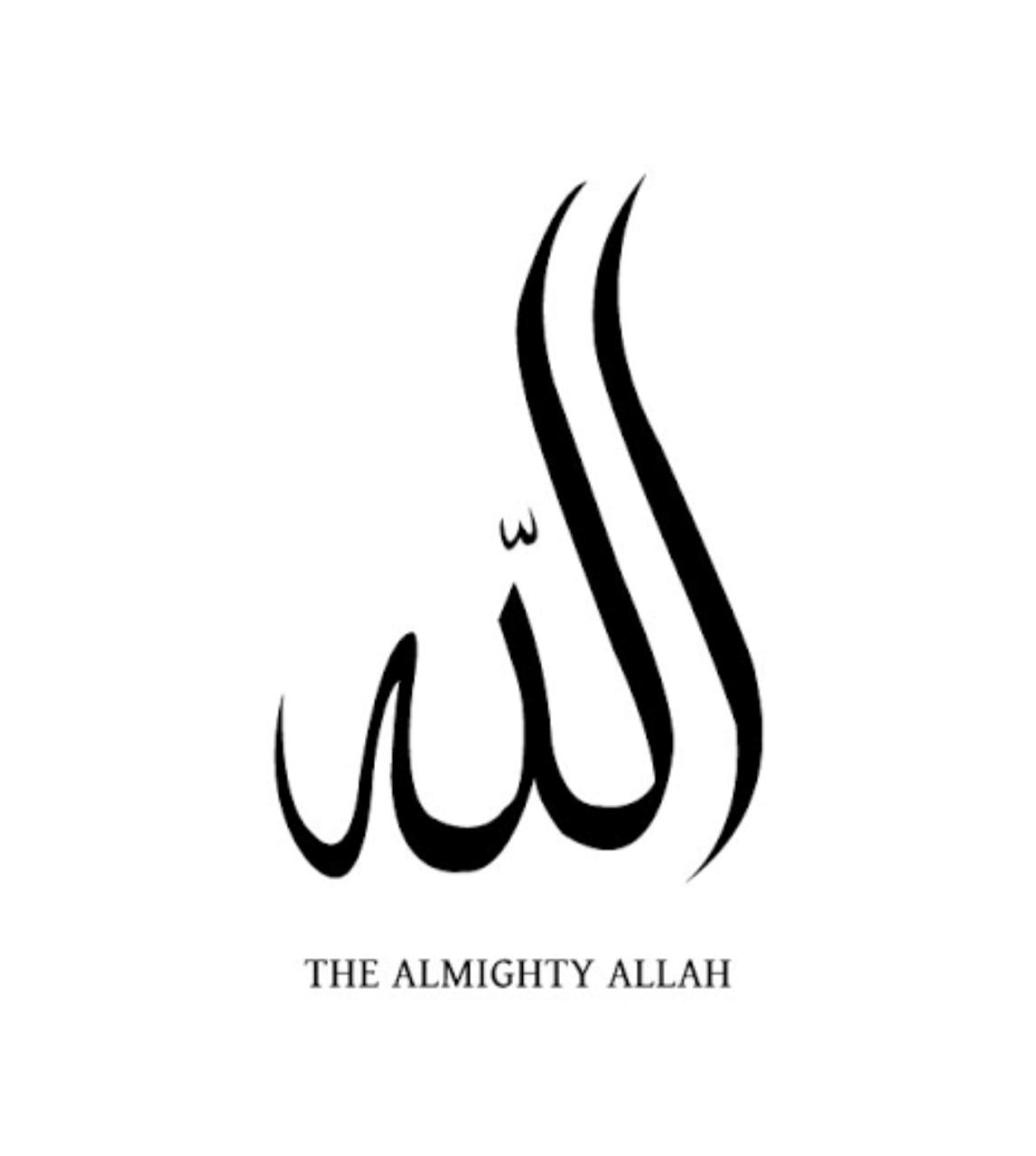 Allah Almighty: The Revolutionary Allah MEME Coin, Inspired by Faith and Community, Exploring the Future of MEME Coins