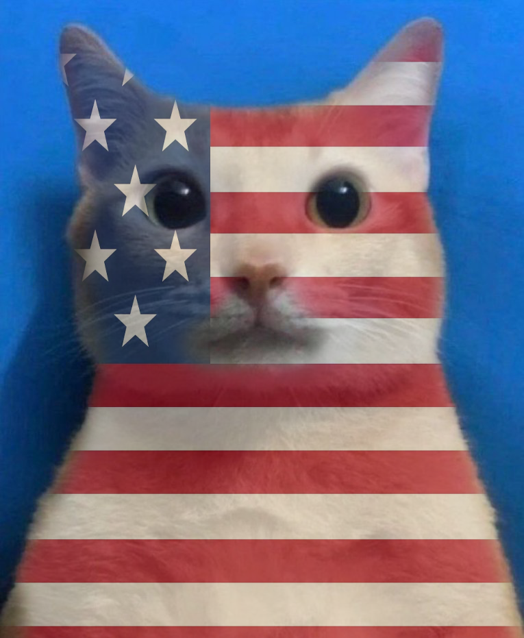 AMERICAT Coin: The MEME Coin Revolution Representing an Entire Country!