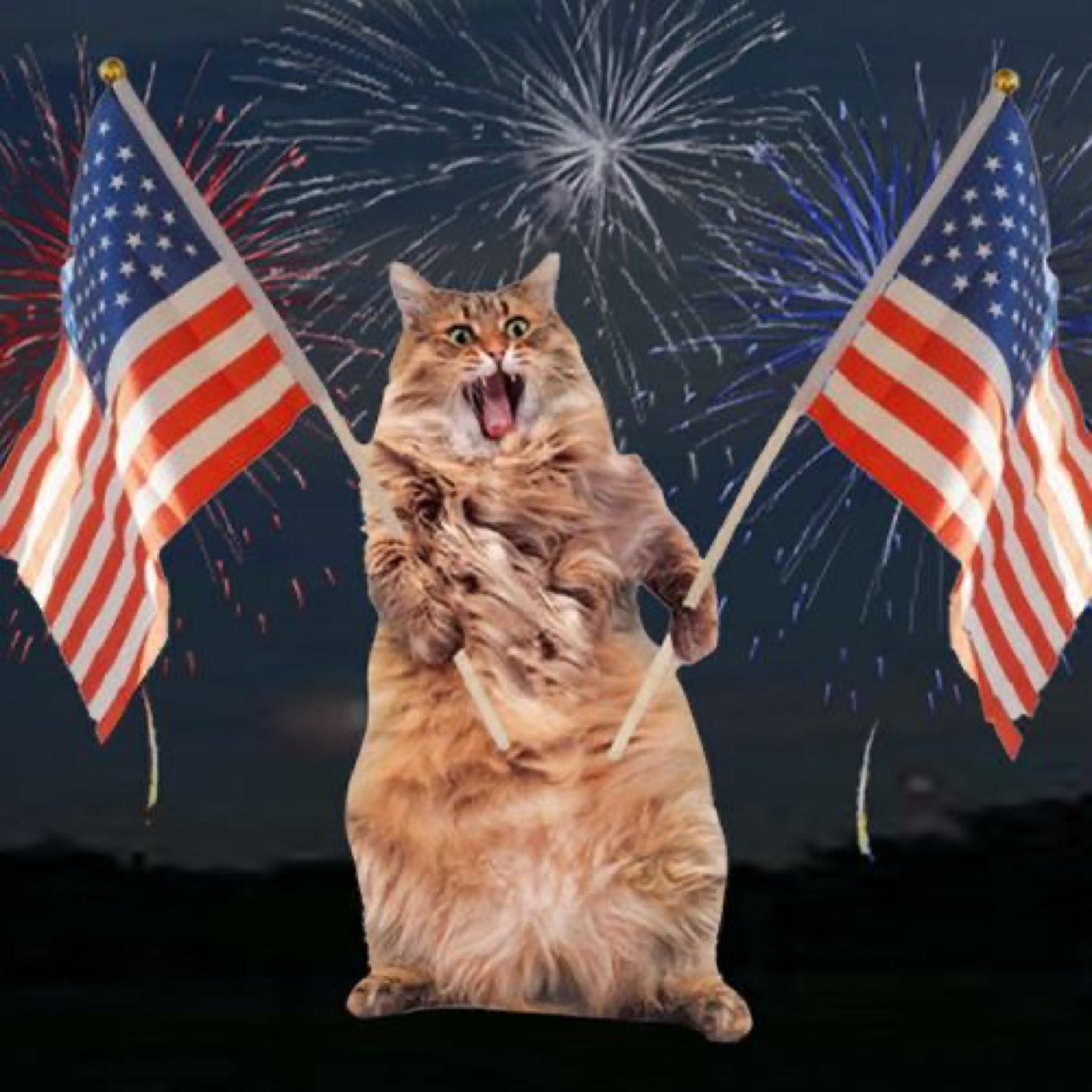 AMERICAT Coin: The purrfect MEME Coin revolution! Unleash fun & patriotism!