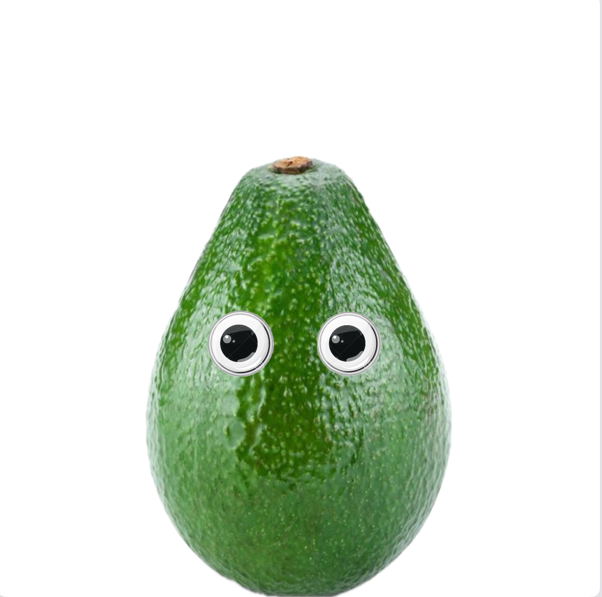 $AVI Coin: Own My Pet Avicado in MEME Coin - Join the $AVI Coin Fun!