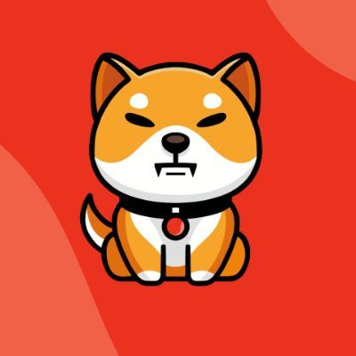 BABYSHIB Coin: Baby Shiba Inu MEME Coin on SOL - Next-Gen Craze