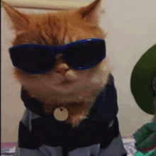 bcat Coin: The badass cat MEME Coin for fierce crypto rebels