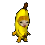 BANANACAT: MEME Coin – Join the BANANACAT Coin Craze Today!