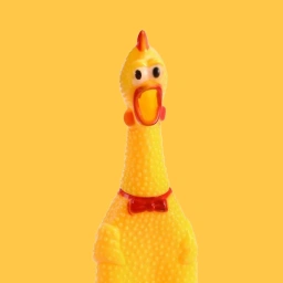 BAWK Coin: Join the MEME Coin fun with Rubber Chicken BAWK today!