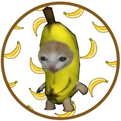 BCAT Coin: The Latest MEME Coin Craze Featuring Banana Cat in a Suit!