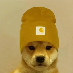 BEANIE Coin: Join the MEME Coin Revolution with dogwifbeanie!