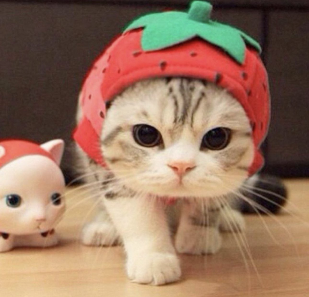 Berry: Meet the cutest strawberry cat on Solana! 🍓😻 Discover Berry Coin on MEME is Game! Embrace the purr-fect crypto adventure with Berry!