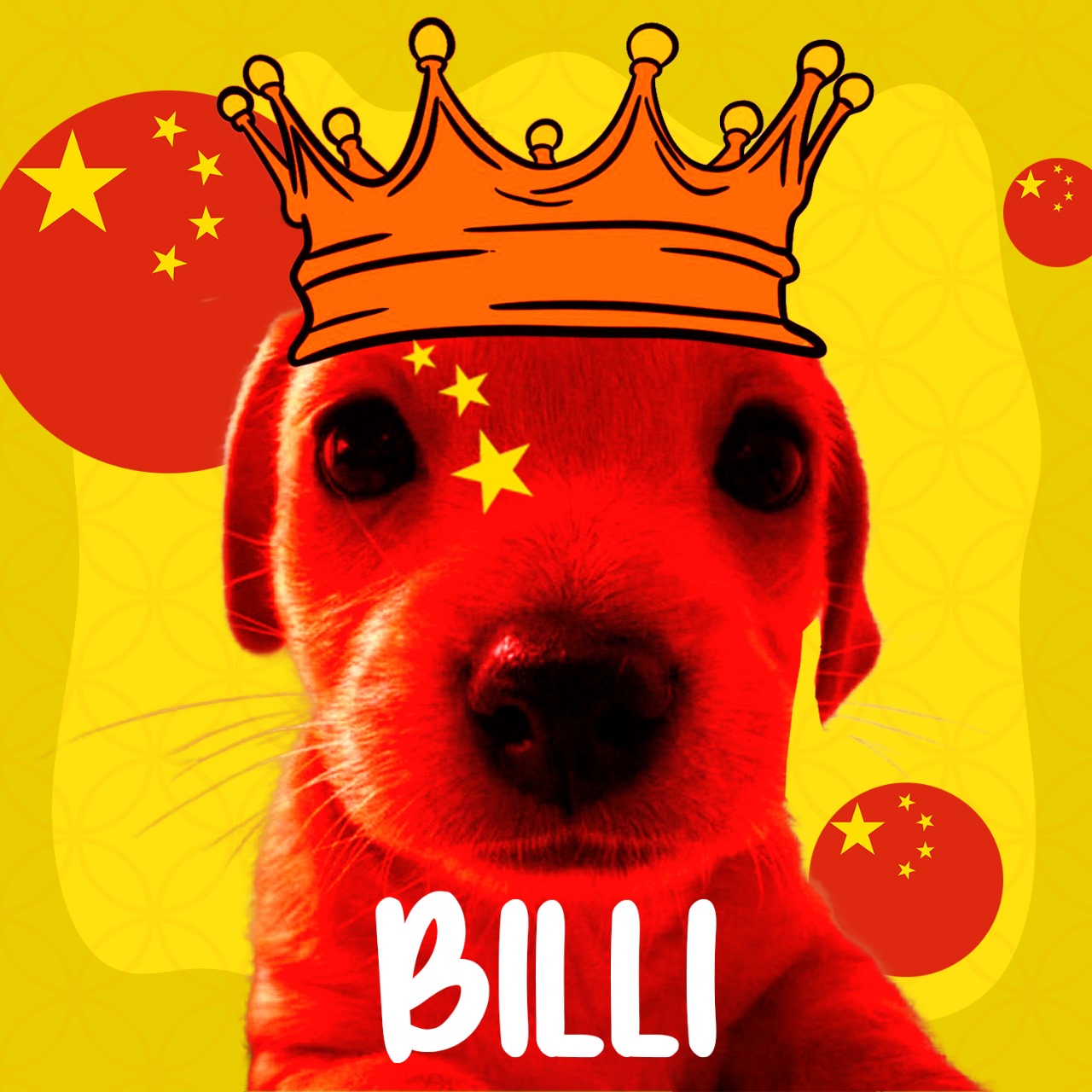 BILLI Coin: A Unique MEME Coin Blending Memes with Chinese Culture