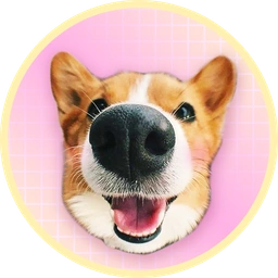 BODO Coin: Community-Driven MEME Coin for Dog Lovers & Crypto Fans