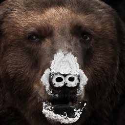 BONCu200e Coin: Bear On Cocaine MEME Coin—Join the BONC MEME Coin Craze!