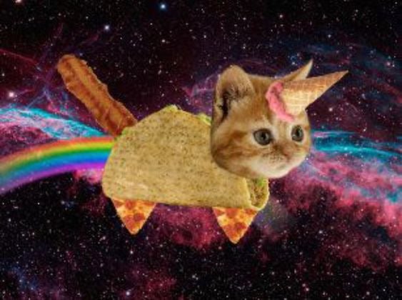 BTC: Experience the Revolutionary Power of Bacon Taco Cat, a MEME Coin