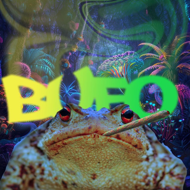 BUFO Coin: Embrace the BUFO frog, the latest MEME Coin craze