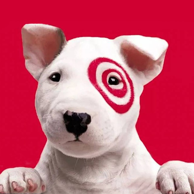 Bullseye Coin: MEME Coin inspired by Target Dog, aiming for the moon!