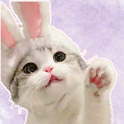 BUNEKO Coin: Irresistible BunnyCat MEME Coin Ready to Purr on Solana