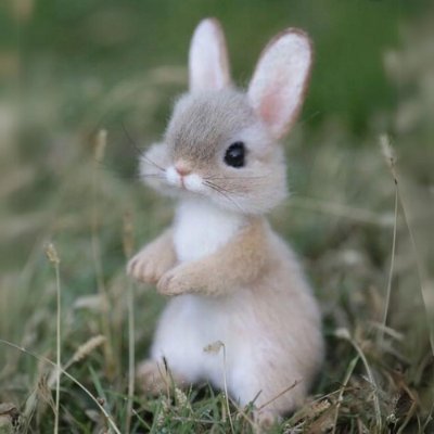 bunne Coin: Solana's Cutest MEME Coin for Adorable Profits! Hop on $bunne!