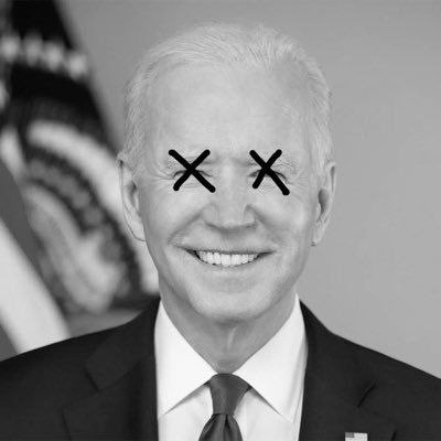 Byeden MEME Coin: Satirical Coin Tribute to the 46th President Biden Jr.