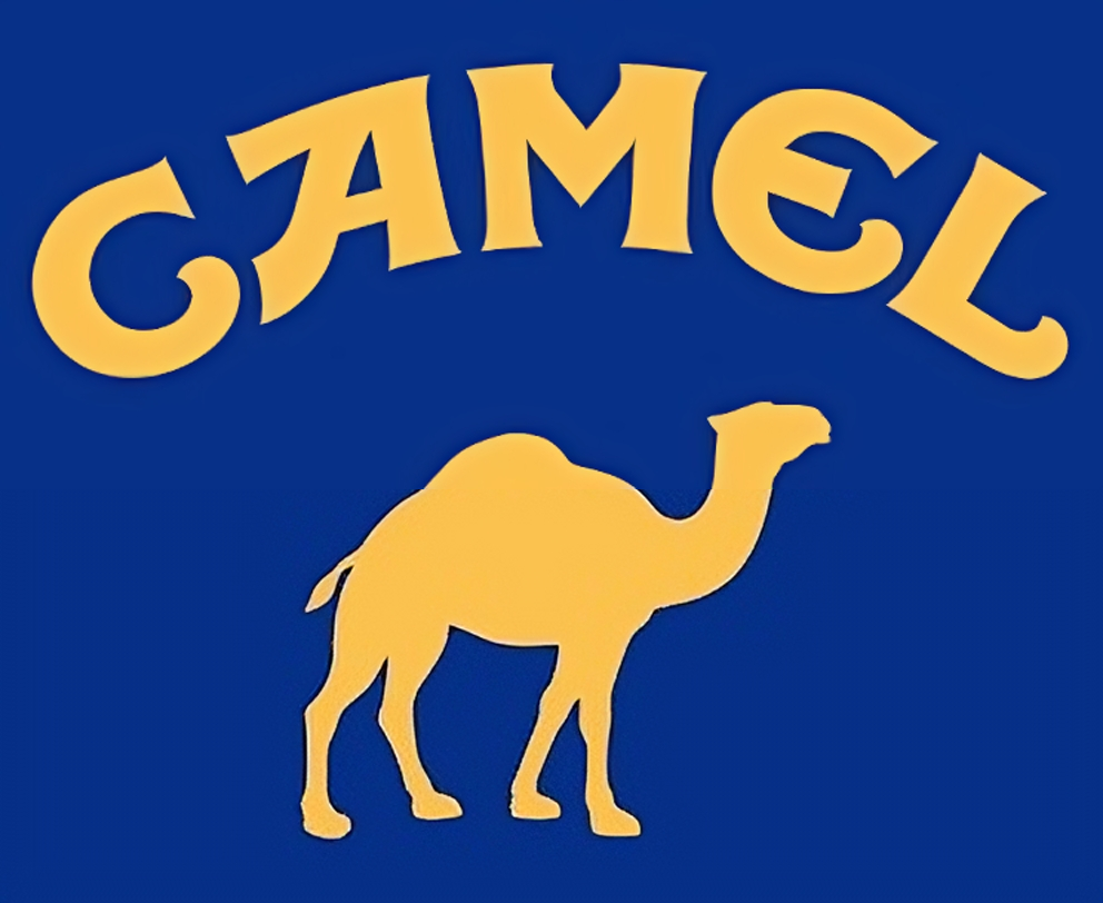 CAMEL: Revolutionizing Finance with the Ultimate MEME Coin! #MEMECoins