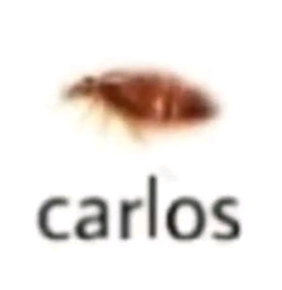 CARLOS Coin: The Ultimate MEME Coin Captured by Carlos Himself