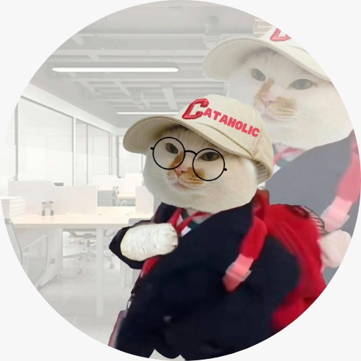 CATAHOLIC Coin: MEME Coin for Catty's 9-to-5 Office Antics