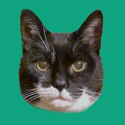 CATGPT: The purrfect MEME Coin - Get in on the trend with CATGPT Coin