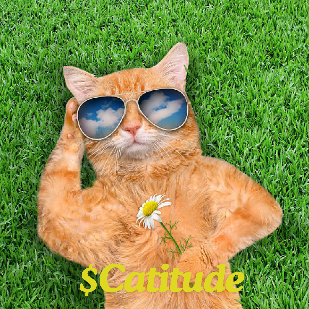 CATitude Coin: Fierce MEME Coin Ready to Dominate the Viral MEME Game!