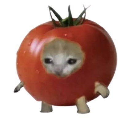 Catmato Coin: The Ultimate MEME Coin Blending Cats and Tomatoes