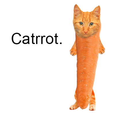 catrrot Coin: Best MEME Coin - Your Favorite MEME Coin for Crypto!