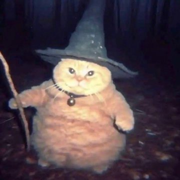 CB Coin: Join Cheeseball the wizard & explore magical MEME trends