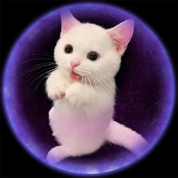 Charm Coin: Adorable MEME Coin Revolution - Join the Purrfect Journey