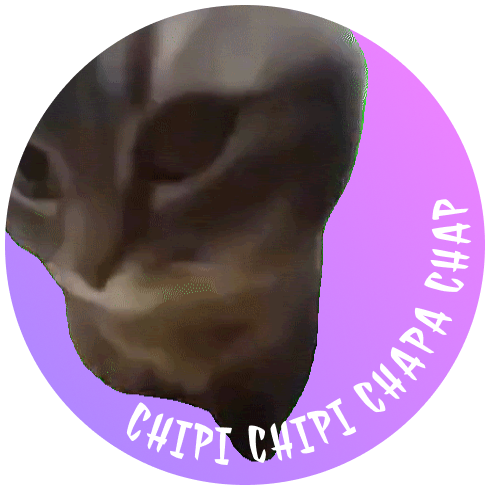 CHIPI: Discover MEME Coin 'CHIPI CHIPI CHAPA CHAPA' - Latest Coin name Coin