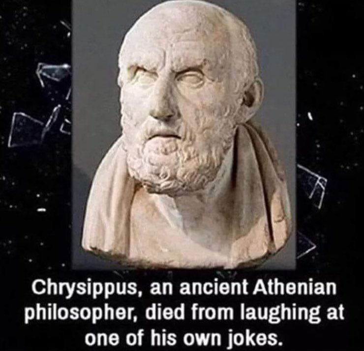 CHRYSIPPUS Coin: The MEME Coin Inspired by a Philosopher's Laughter