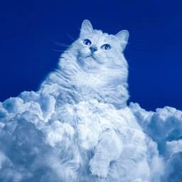 CLOUDY Coin: Join CloudyCattyyu2601ufe0f MEME Coin for a Fun Sky Adventure!