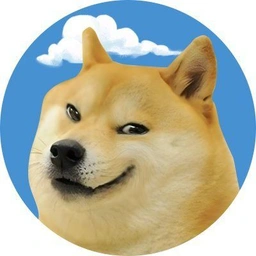 CLOUDYDOG Coin: The MEME Coin where serious dogs bring money rains!