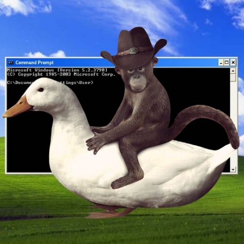 cmd.exe Coin: The MEME Coin to Kickstart Your CowboyMonkeyDuck.exe Adventure!