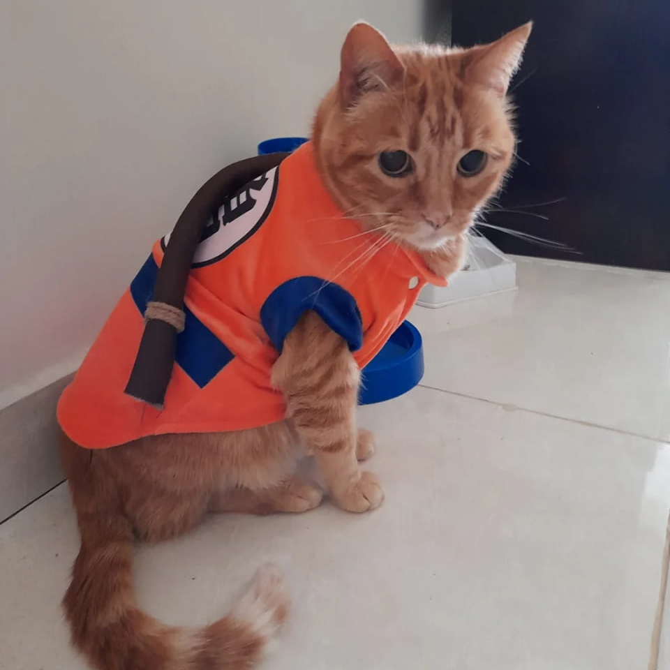 CoKu Coin: Discover Cat Goku, the Strongest MEME Coin on Solana!