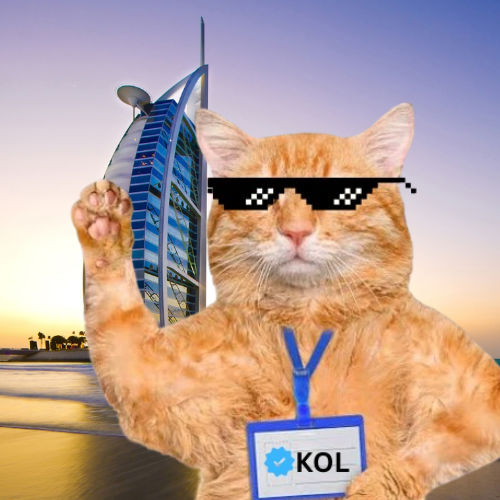 CTKOL Coin: The MEME Coin Revolutionizing Crypto with Feline Charm