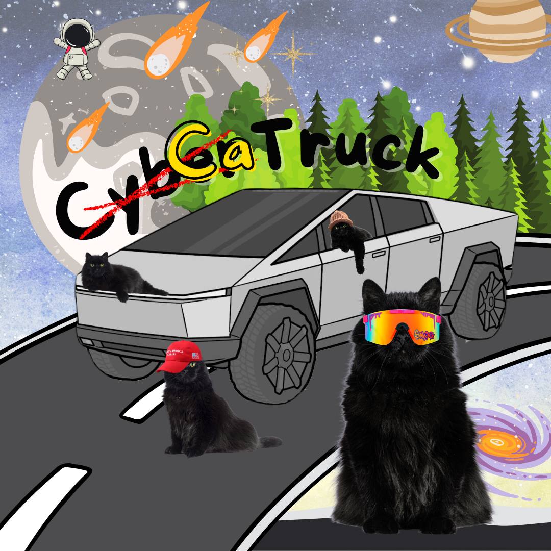 CTRUCK: The MEME Coin Combining Cybertruck and Cat Fun