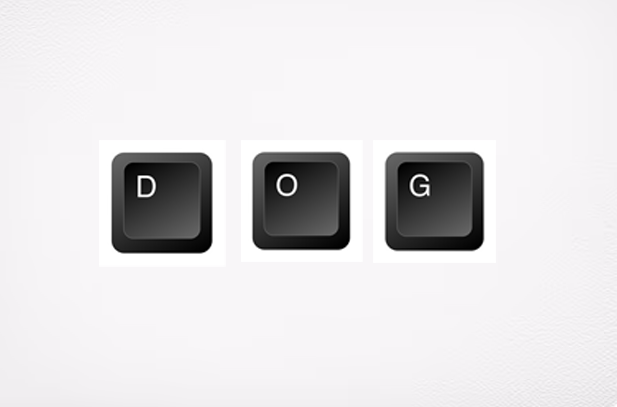 d + o + g' Coin: Introducing the Keyboard Dog MEME Coin