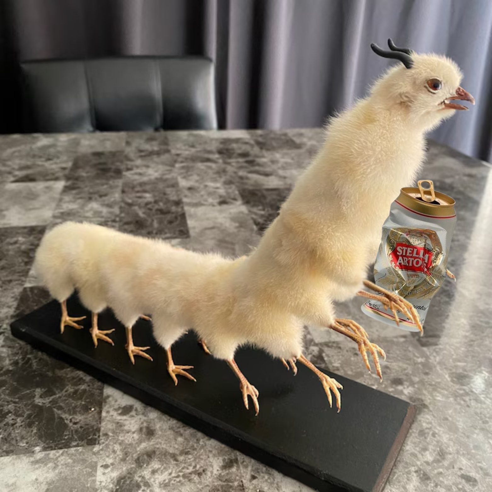 DCC Coin: Drunk Chicken Centipede—Wild MEME Coin Chaos