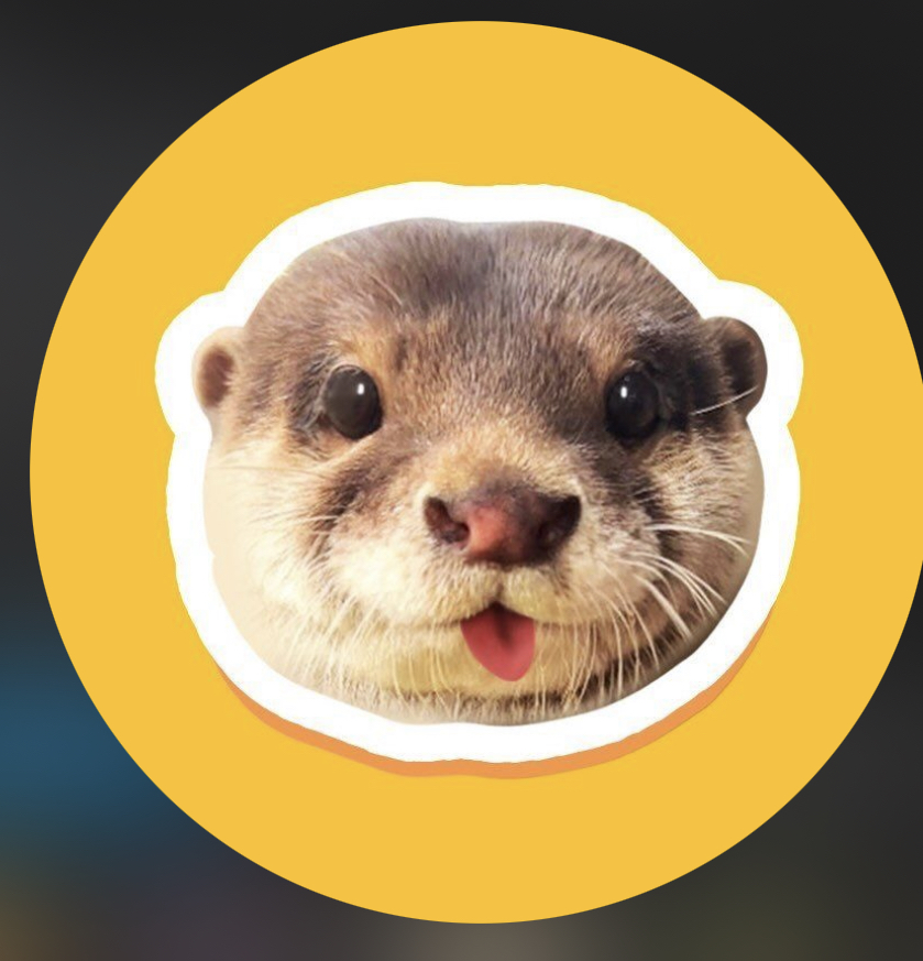 DEGEN Coin: The Wildest MEME Coin Inspired by Degen The Otter