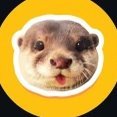 Degen Coin: Join the wild MEME Coin adventure with Degen the Otter!