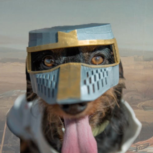 DVD Coin: Join the MEME Coin Revolution with DEUS VULT DOG Today!