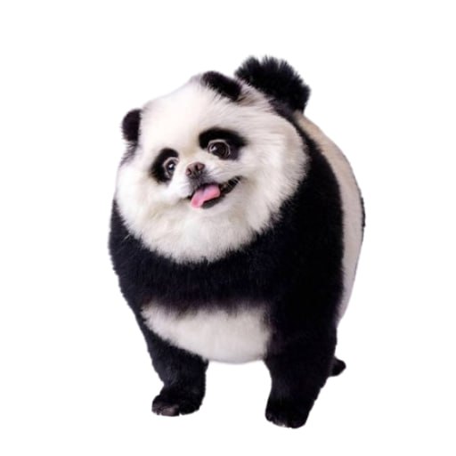 DICE Coin: Roll with the MEME Coin Inspired by The Degen Panda