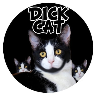 Dickcat Coin: MEME Coin Fun in the Dickcat Realm - Hilarity Awaits!