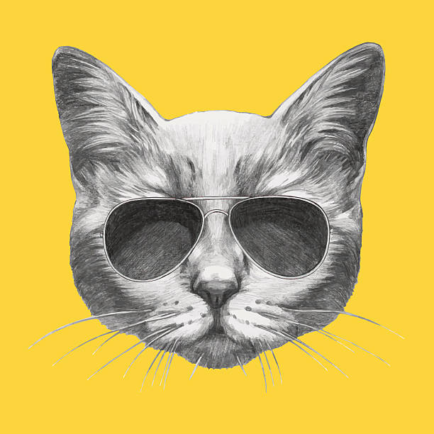 DIMI Coin: The Trendy MEME Coin Featuring the Cool DIMI Cat