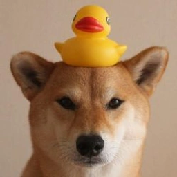 DOD Coin: MEME Coin Duck on Dog - Fun, Hype & Quacking Profits