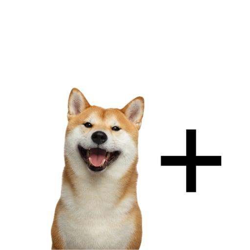 DOG+ Coin: The ultimate infinity MEME Coin with DOG+ - 60 letters.