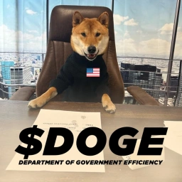 DOGE Coin: Official MEME Coin of the Dept. of Govt Efficiency